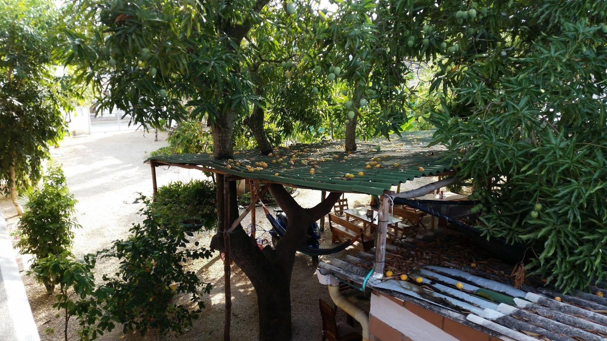Hotel Pizzeria Opera Tolú Екстериор снимка